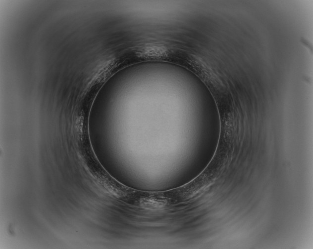 X0000097600739200802291243