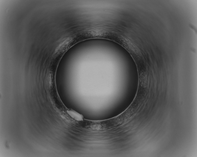 X0000097600740200802291243