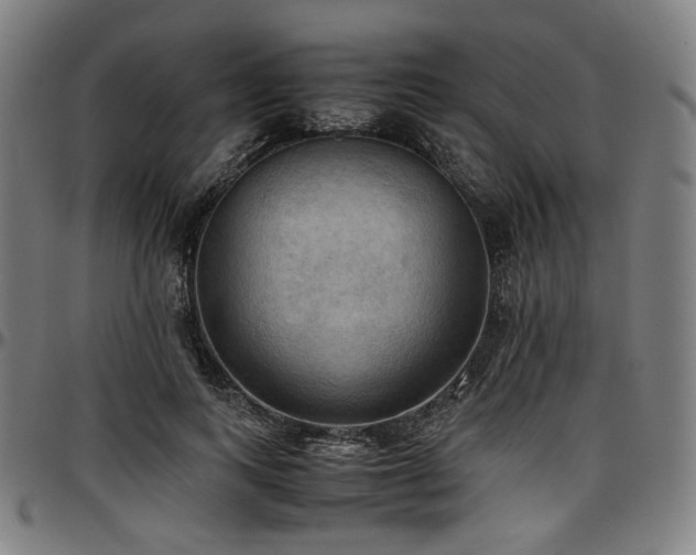 X0000097600743200802291243