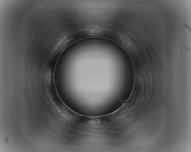 X0000097600744200802291243