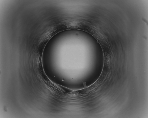 X0000097600746200802291243