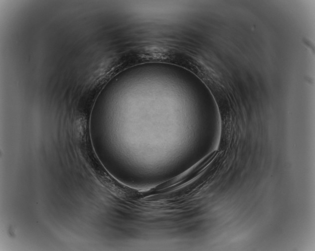 X0000097600747200802291243