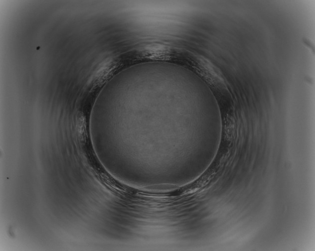 X0000097600748200802291243