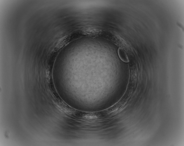 X0000097600749200802291243