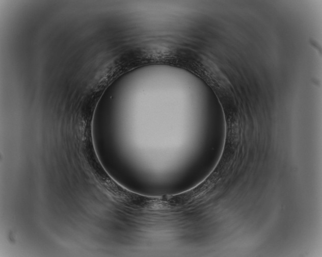 X0000097600750200802291243