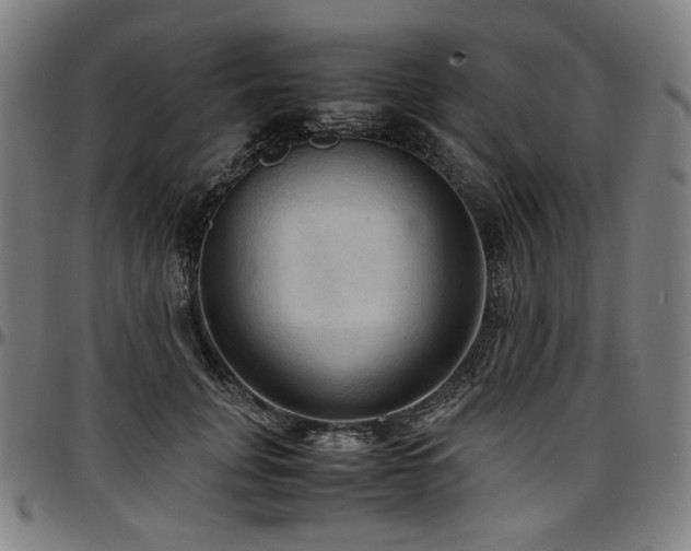 X0000097600751200802291243