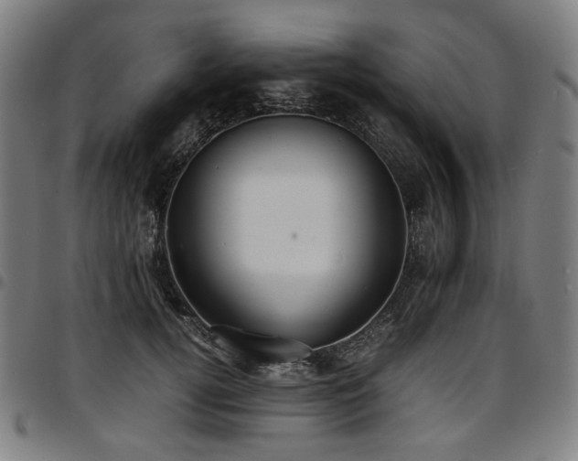 X0000097600752200802291243