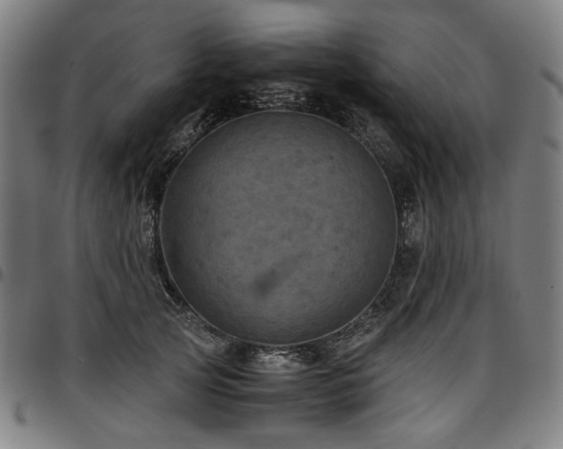 X0000097600753200802291243