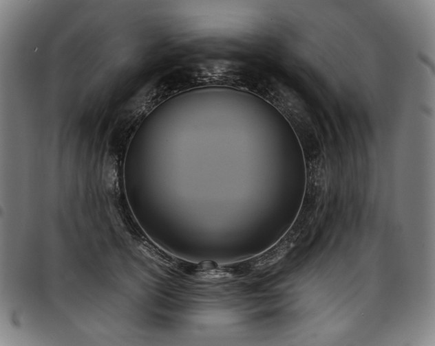 X0000097600754200802291243