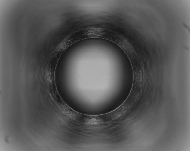 X0000097600755200802291243