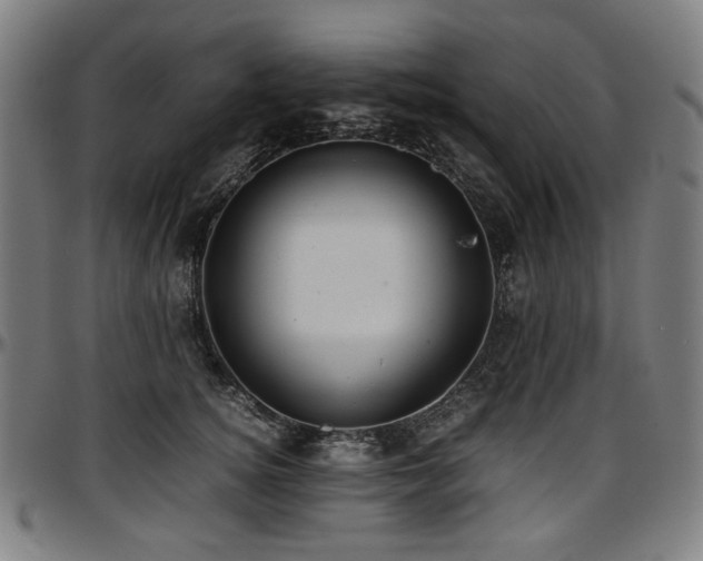 X0000097600756200802291243