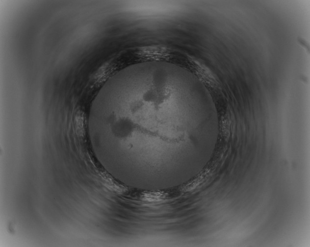 X0000097600757200802291243