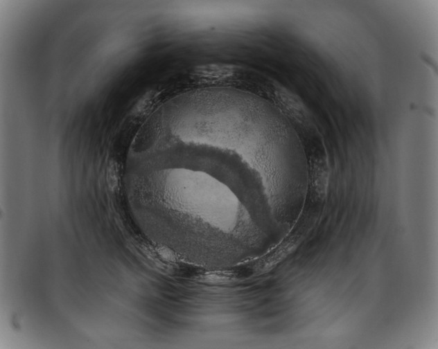 X0000097600758200802291243