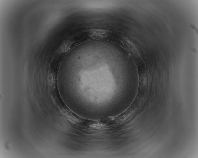 X0000097600759200802291243