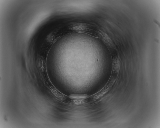 X0000097600762200802291243