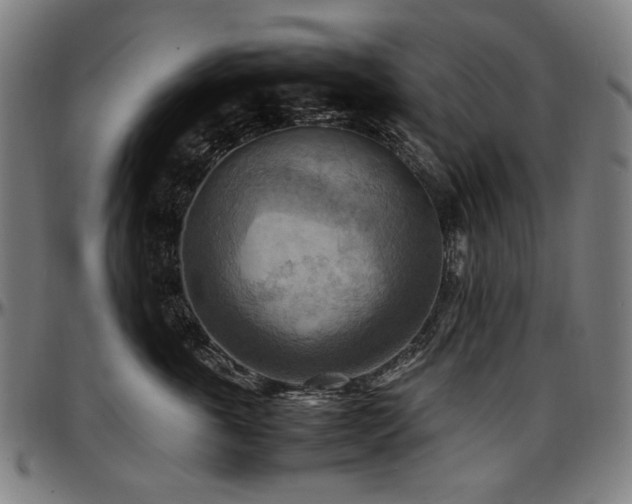 X0000097600763200802291243