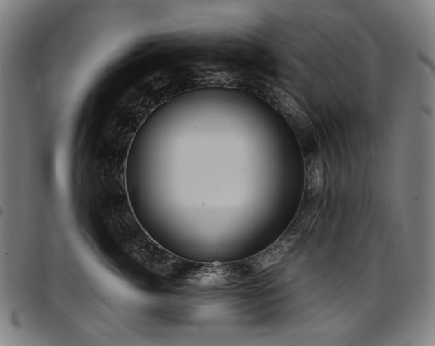 X0000097600764200802291243