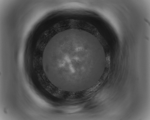 X0000097600765200802291243