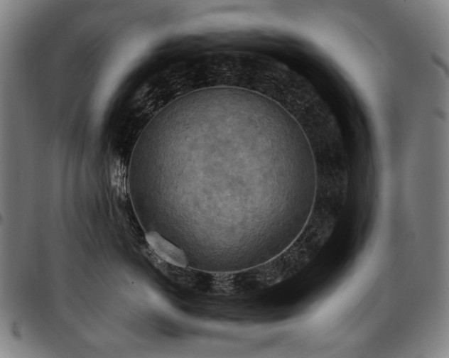 X0000097600766200802291243