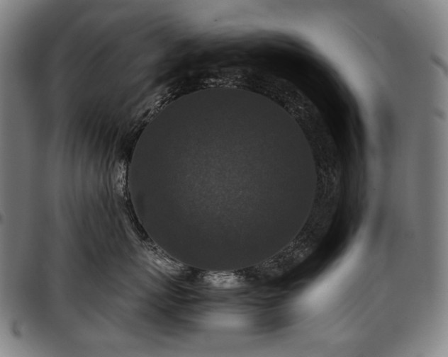 X0000097600767200802291243