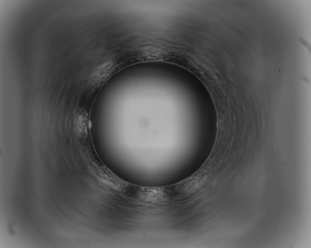 X0000097600768200802291243