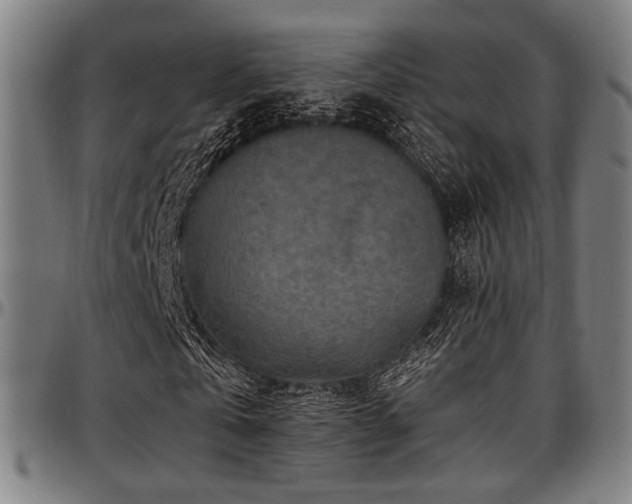 X0000097600769200802291242