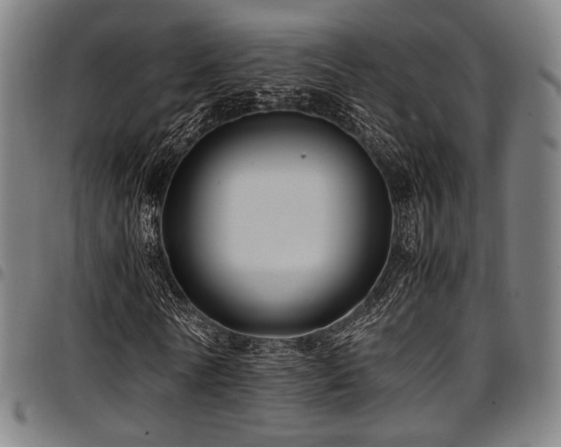 X0000097600770200802291242