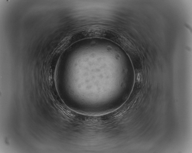 X0000097600771200802291242