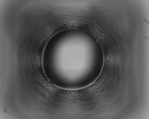 X0000097600772200802291242
