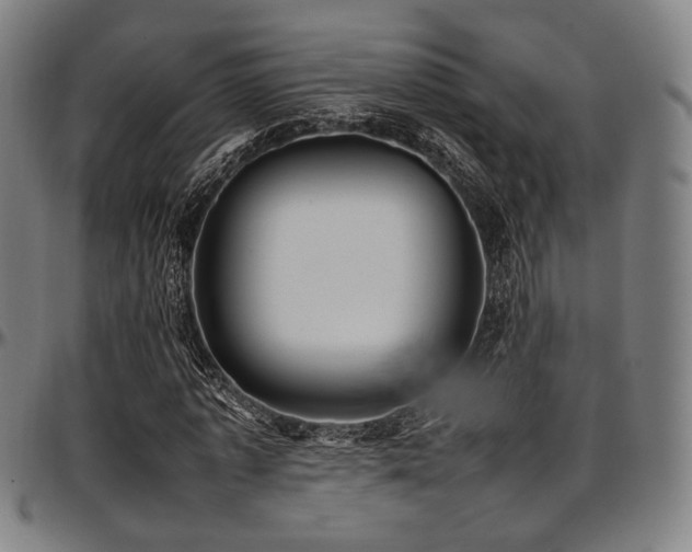 X0000097600773200802291242