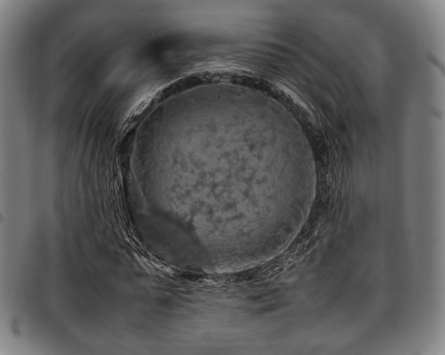 X0000097600775200802291242