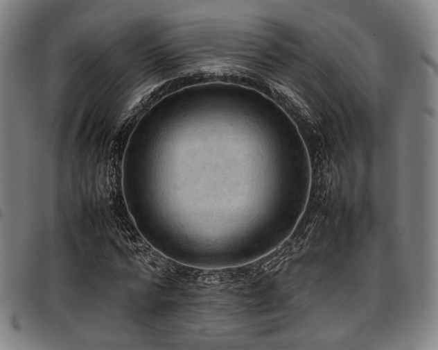 X0000097600776200802291242