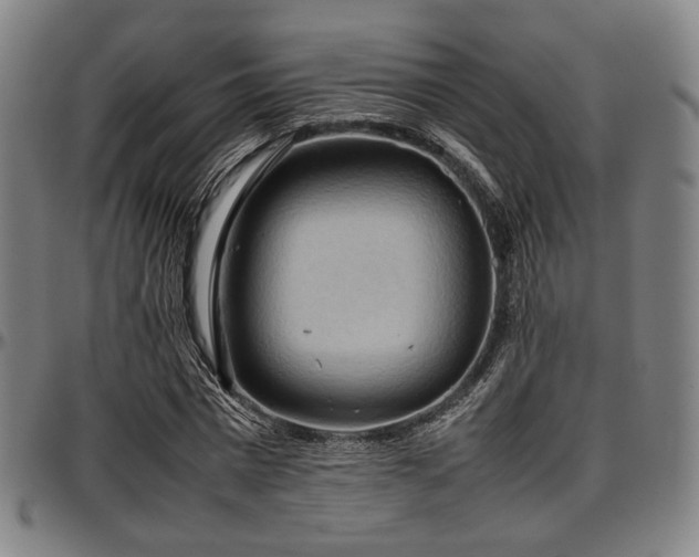 X0000097600777200802291242