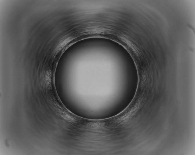 X0000097600778200802291242