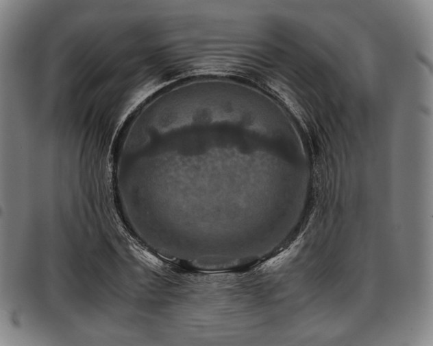 X0000097600779200802291242