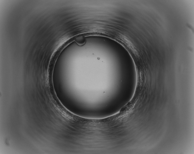 X0000097600780200802291242