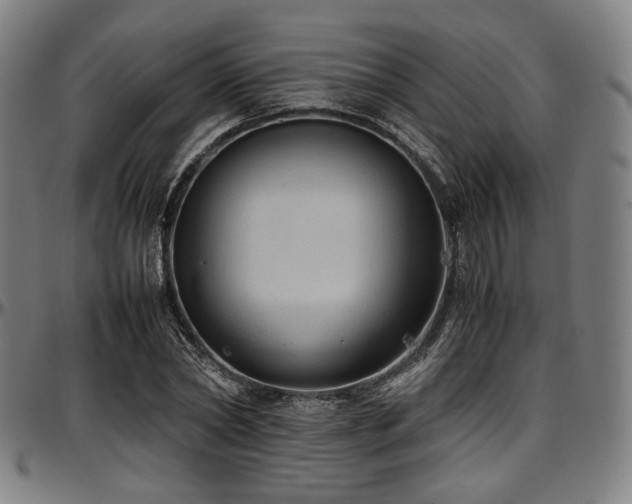 X0000097600782200802291242