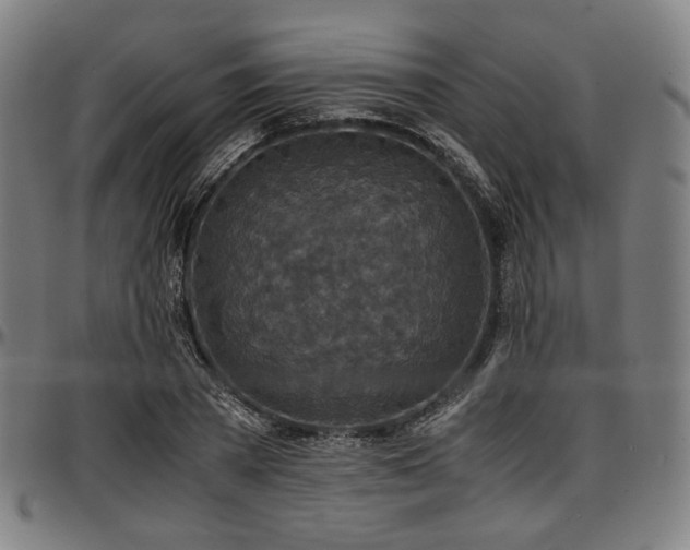 X0000097600785200802291242