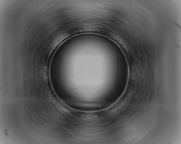 X0000097600786200802291242