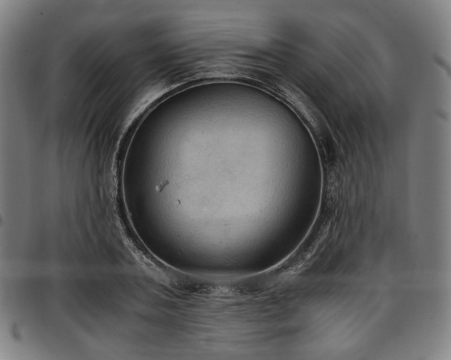 X0000097600787200802291242