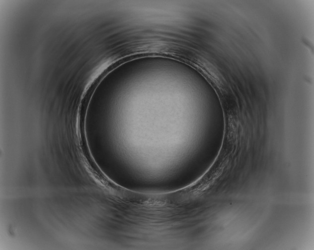 X0000097600788200802291242