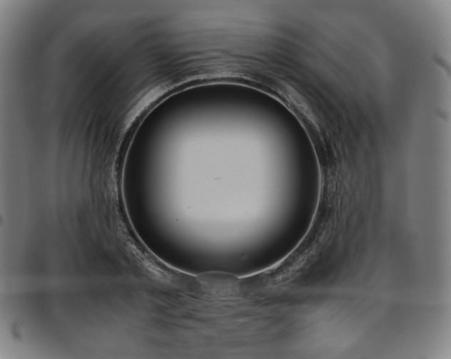 X0000097600789200802291242