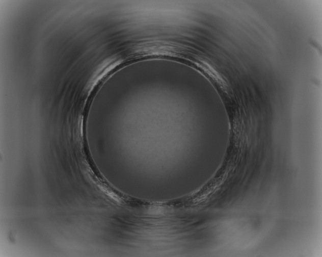 X0000097600790200802291242