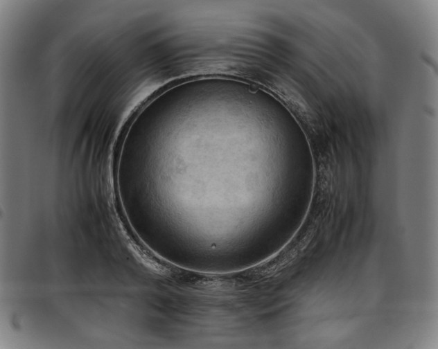 X0000097600792200802291242