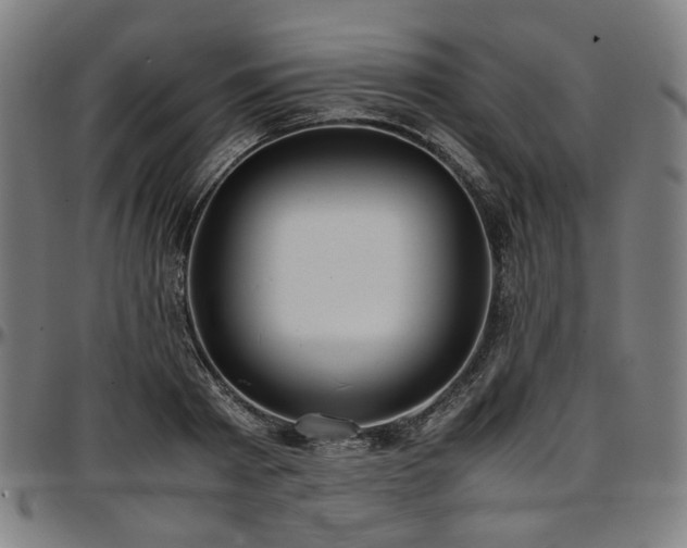 X0000097600793200802291242