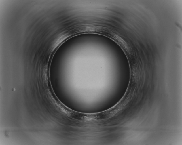 X0000097600794200802291242