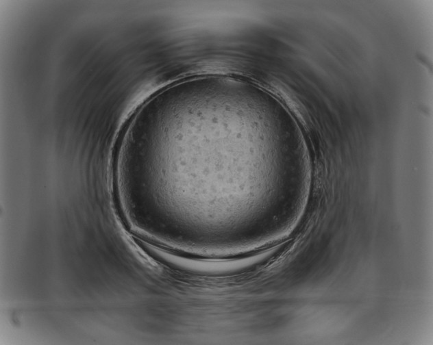X0000097600795200802291242