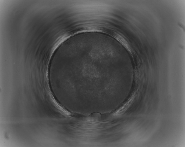 X0000097600797200802291242
