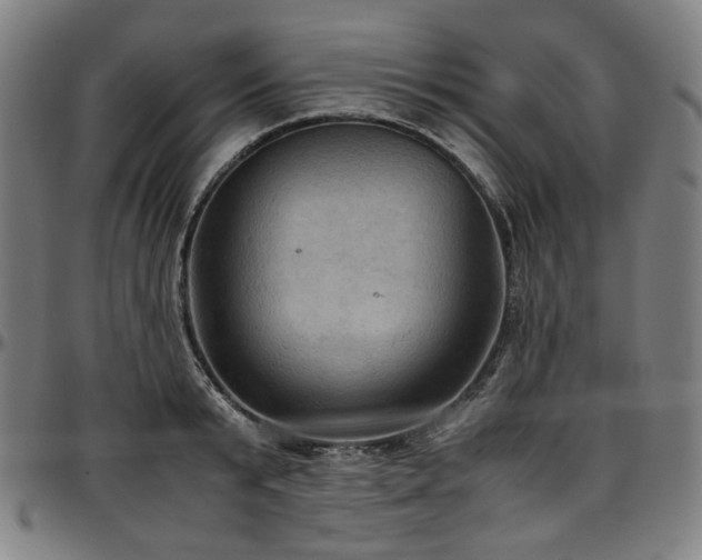 X0000097600799200802291242