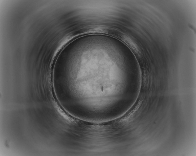 X0000097600800200802291242